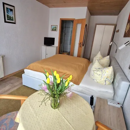 Pension Am Kirschberg-2